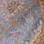 Persian rugs