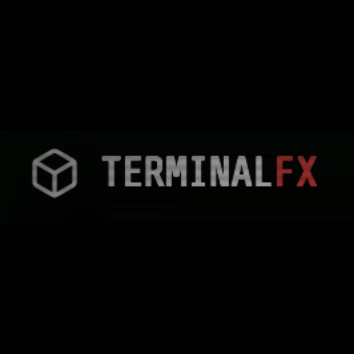 TERMINAL-FX