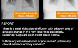 X-Rays: Atlas of Human Anatomy media 3