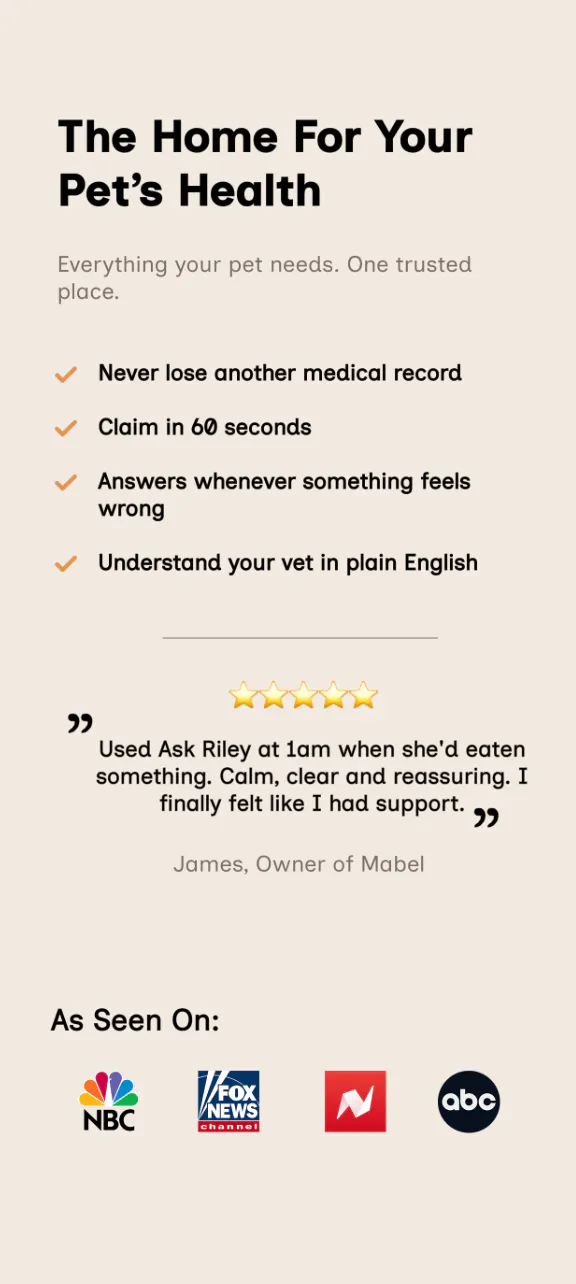 Riley gallery image