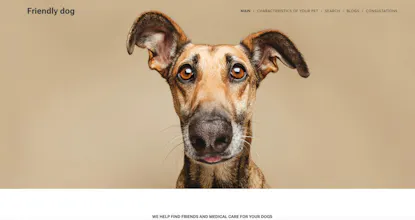 Friendly dog gallery image