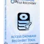 ACCESS Database Recovery