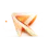 Relvo