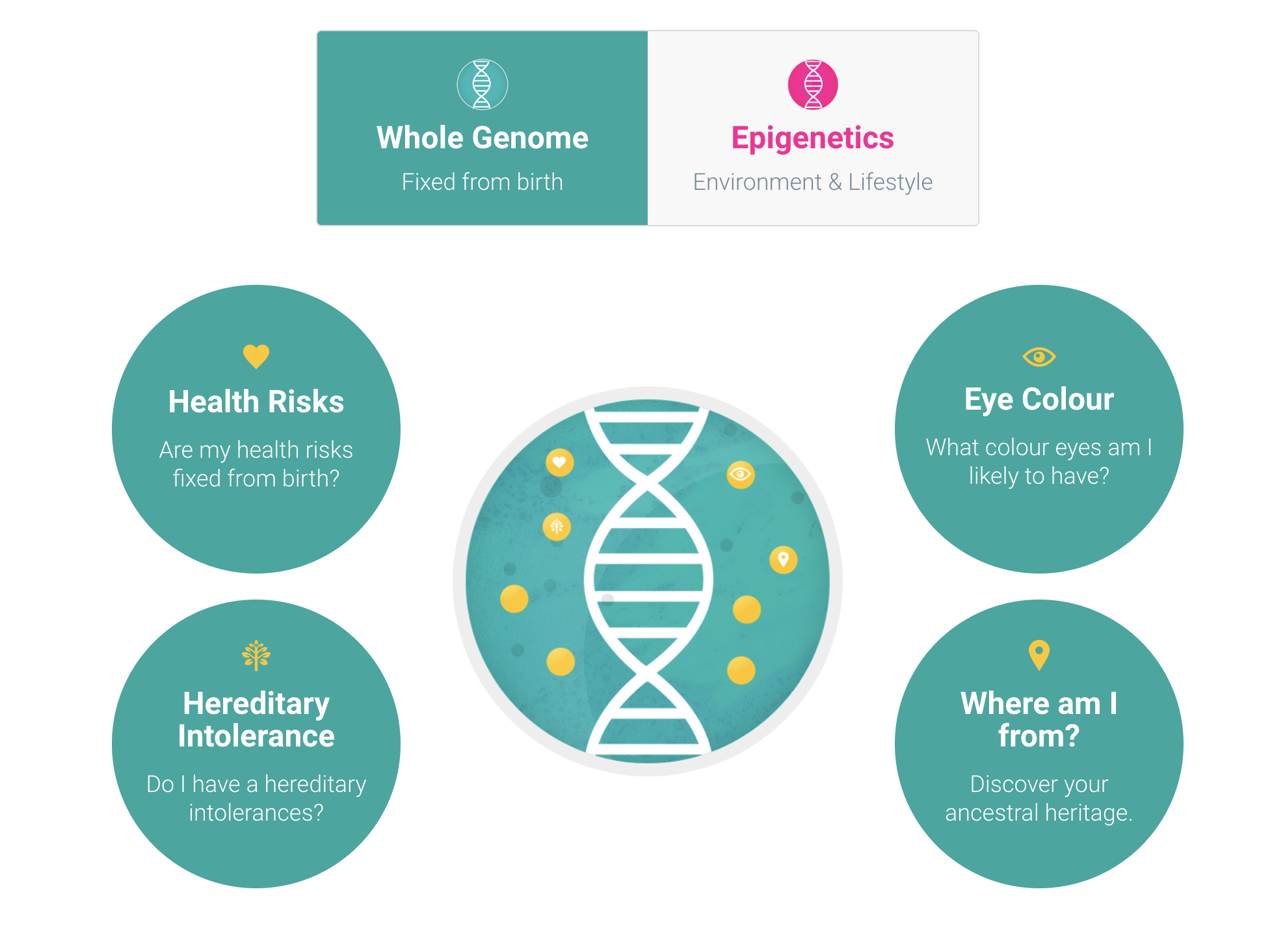 Chronomics gallery image