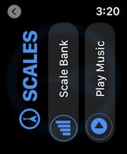 Wristruments for Guitar gallery image