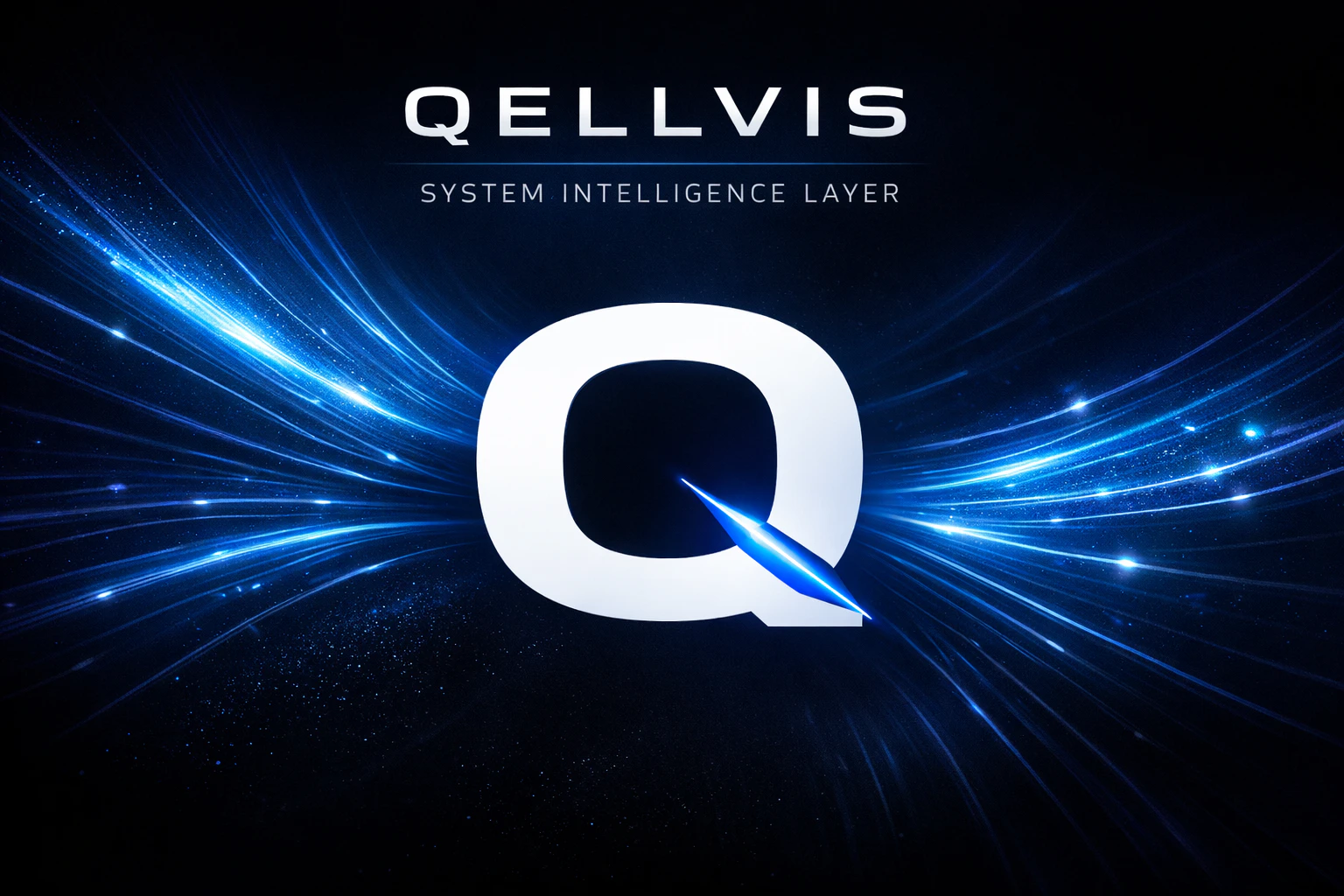QELLVIS 대표 미리보기