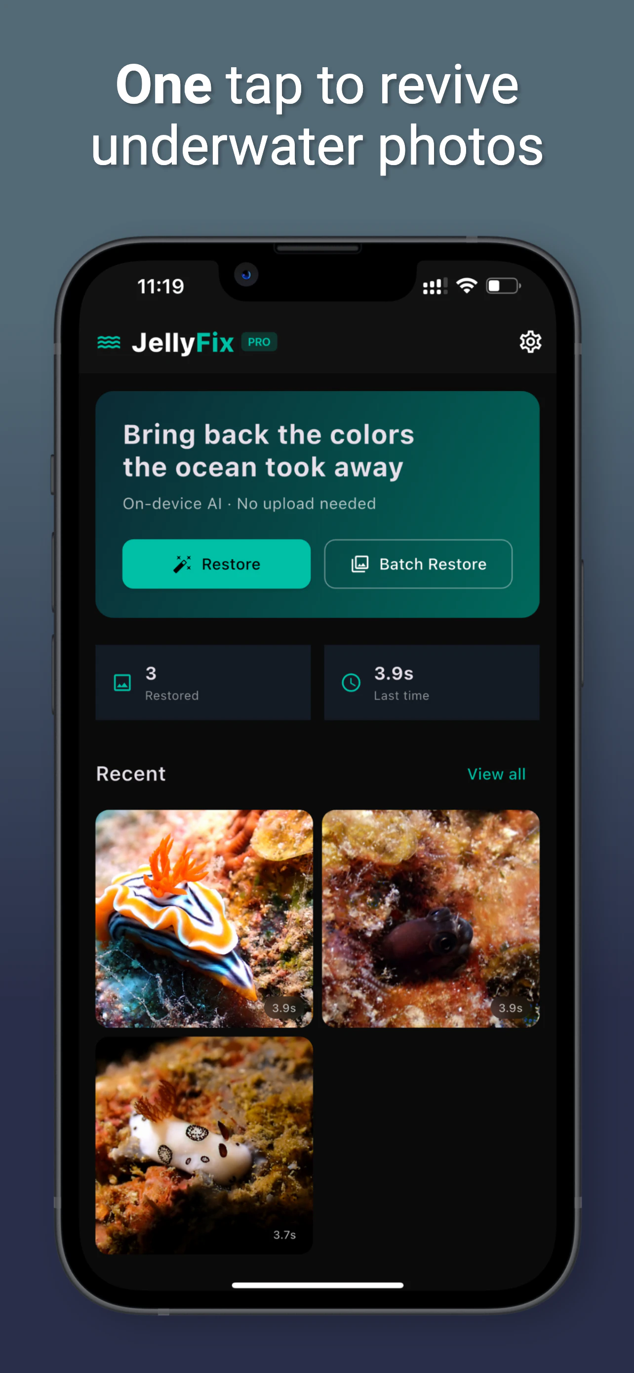 JellyFix: Underwater Colors Restore 截图