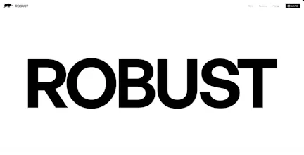 ROBUST Design Studio gallery image