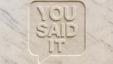 You Said It gallery image
