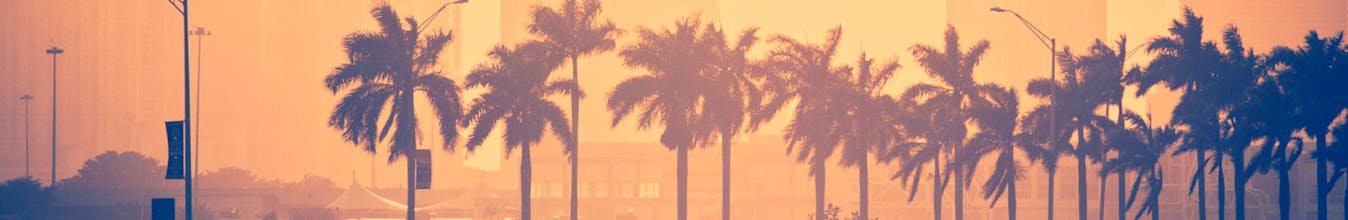 The Idle Guide To Fitness gallery image