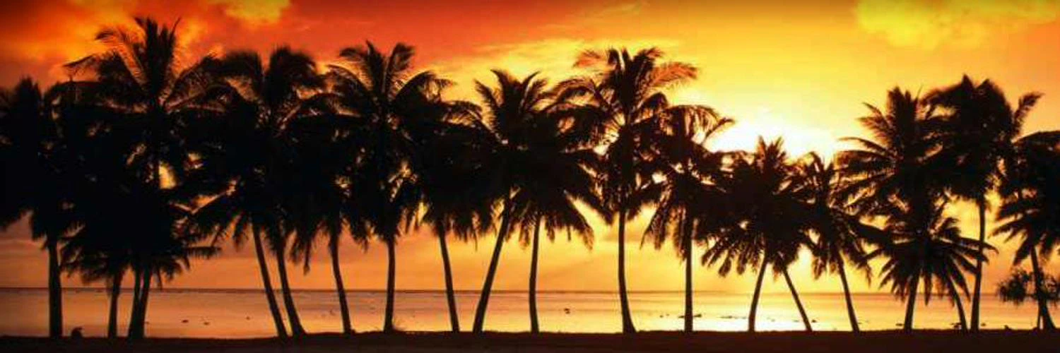 Carl-Fredrik Wållgren cover