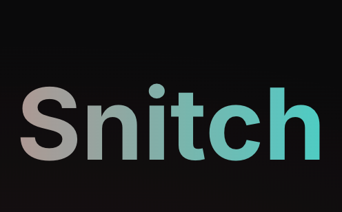 MCP Snitch