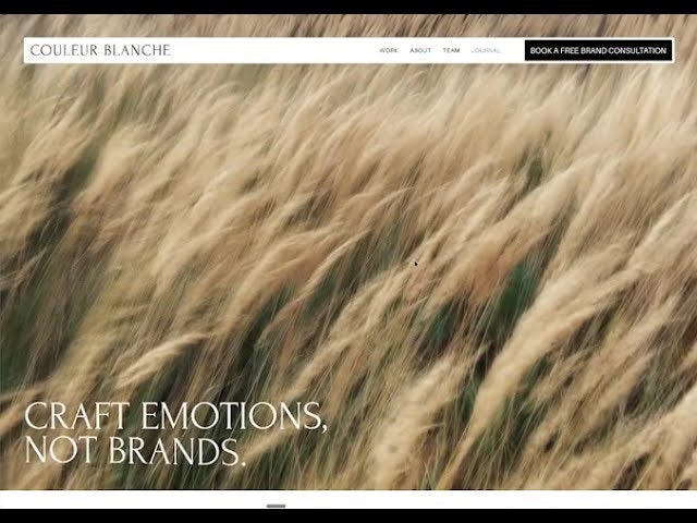 Couleur Blanche gallery image