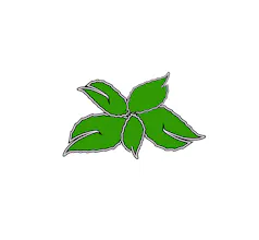 Nuvelio Naturals gallery image