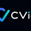 CVio - Know if you'll get the interview