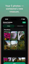 Photofra gallery image