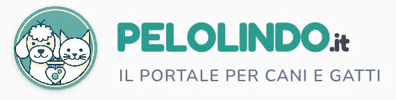 PeloLindo gallery image
