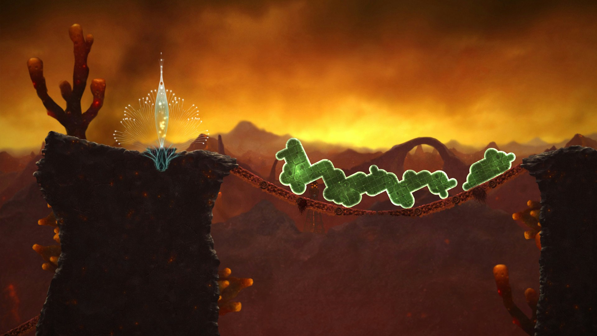 Mushroom 11 gallery image