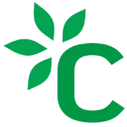 Chai UI