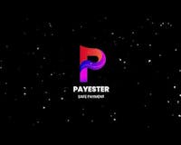 Payester media 1