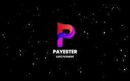 Payester media 1
