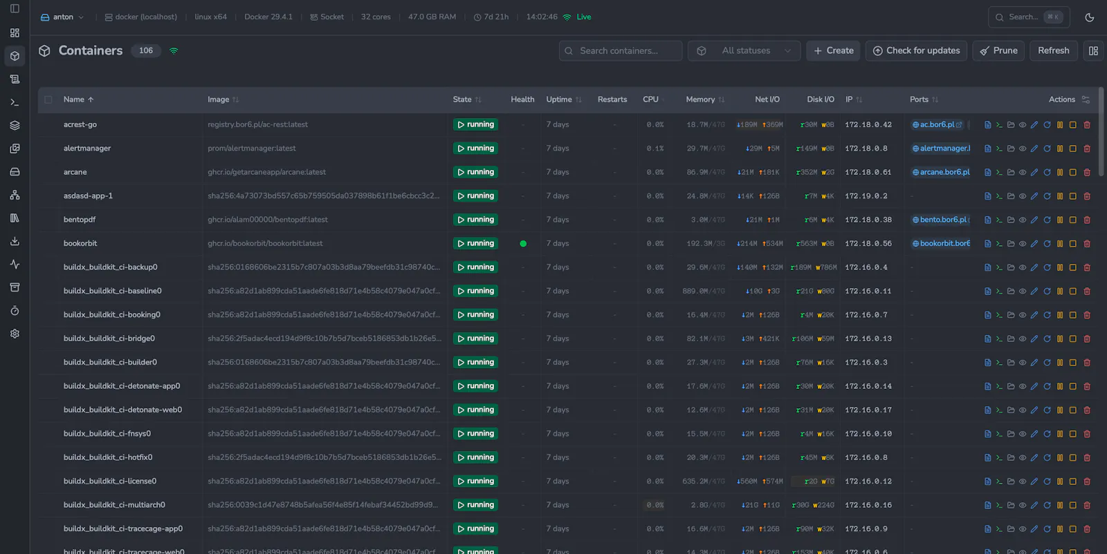 Dockhand screenshot 5