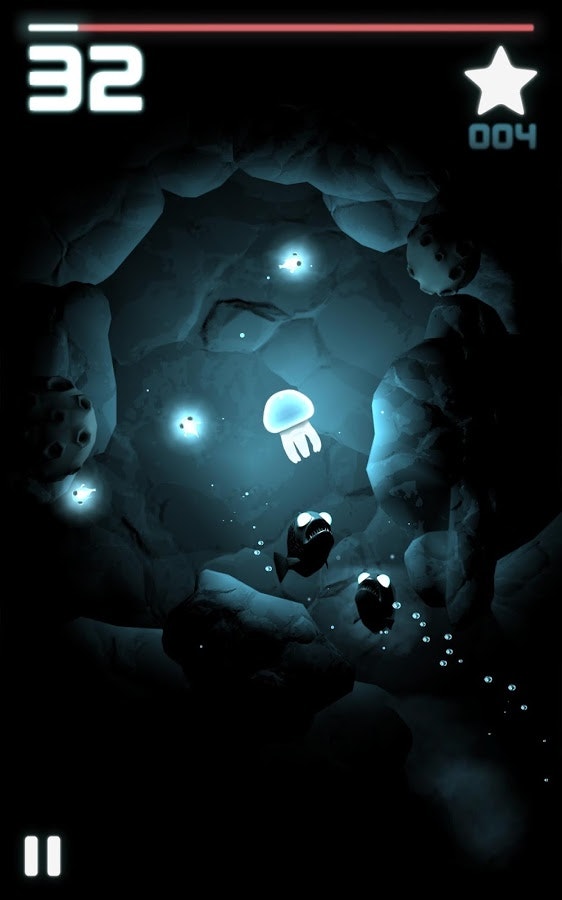 Seashine gallery image