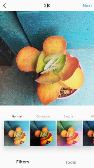 Instagram v8 gallery image