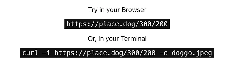 Place Dog gallery image