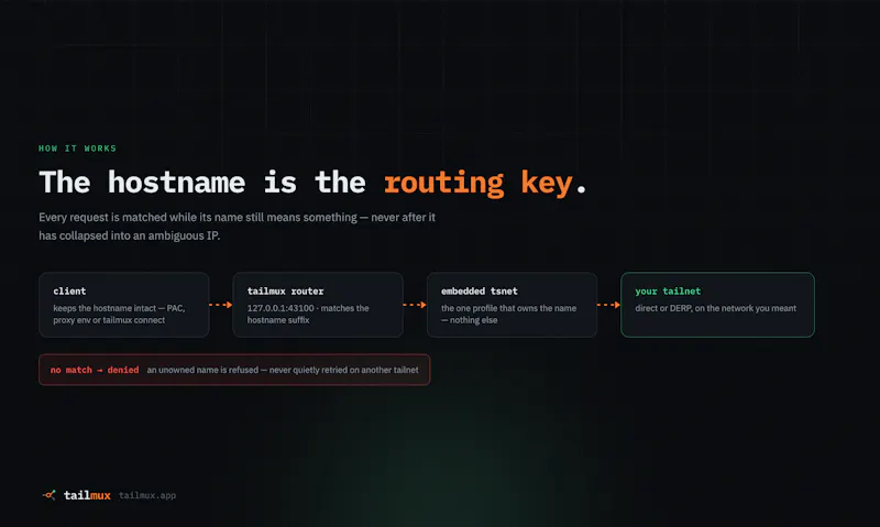 TailMux screenshot 4