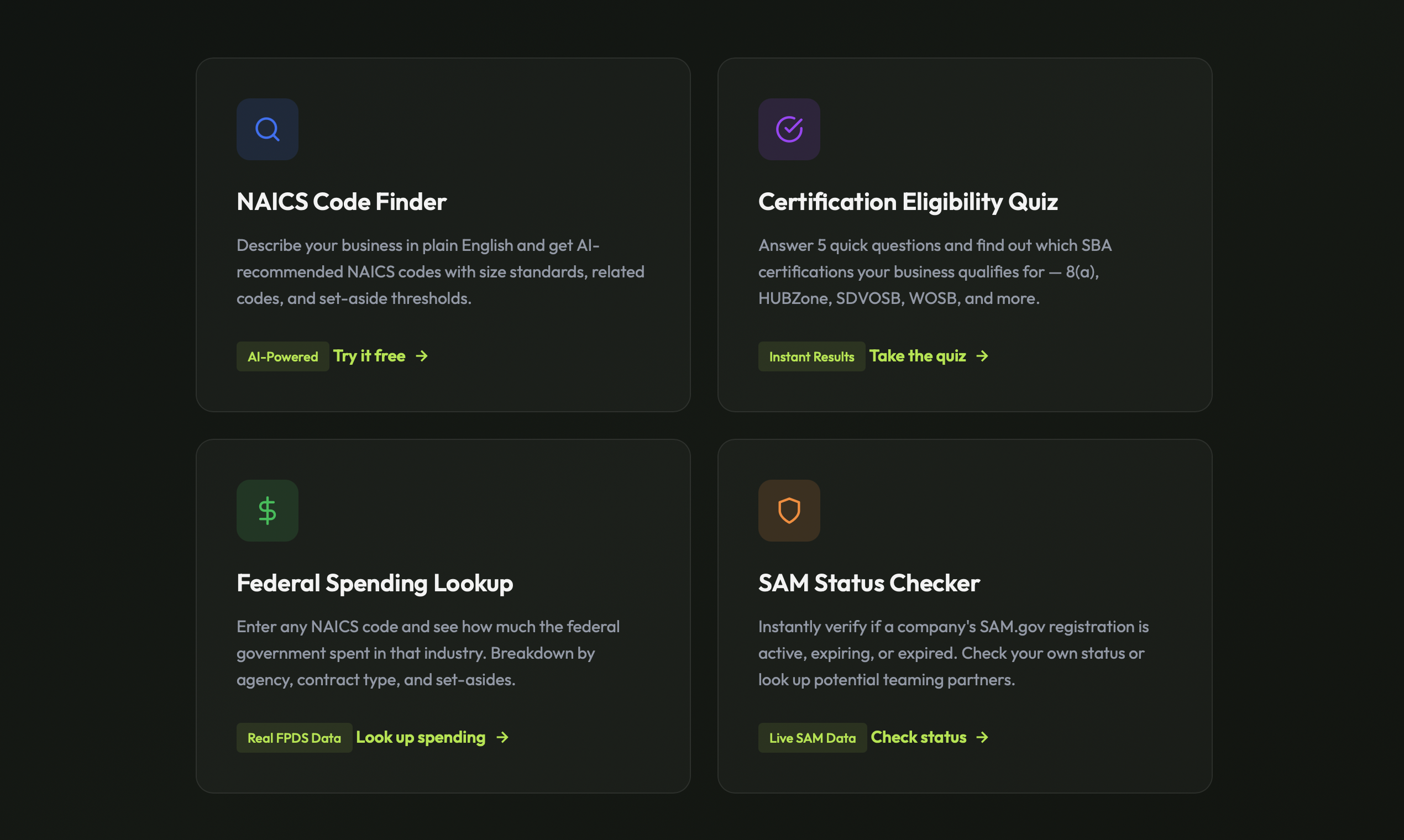 GovIntel.Ai - Screenshot 3 showing product features and functionality