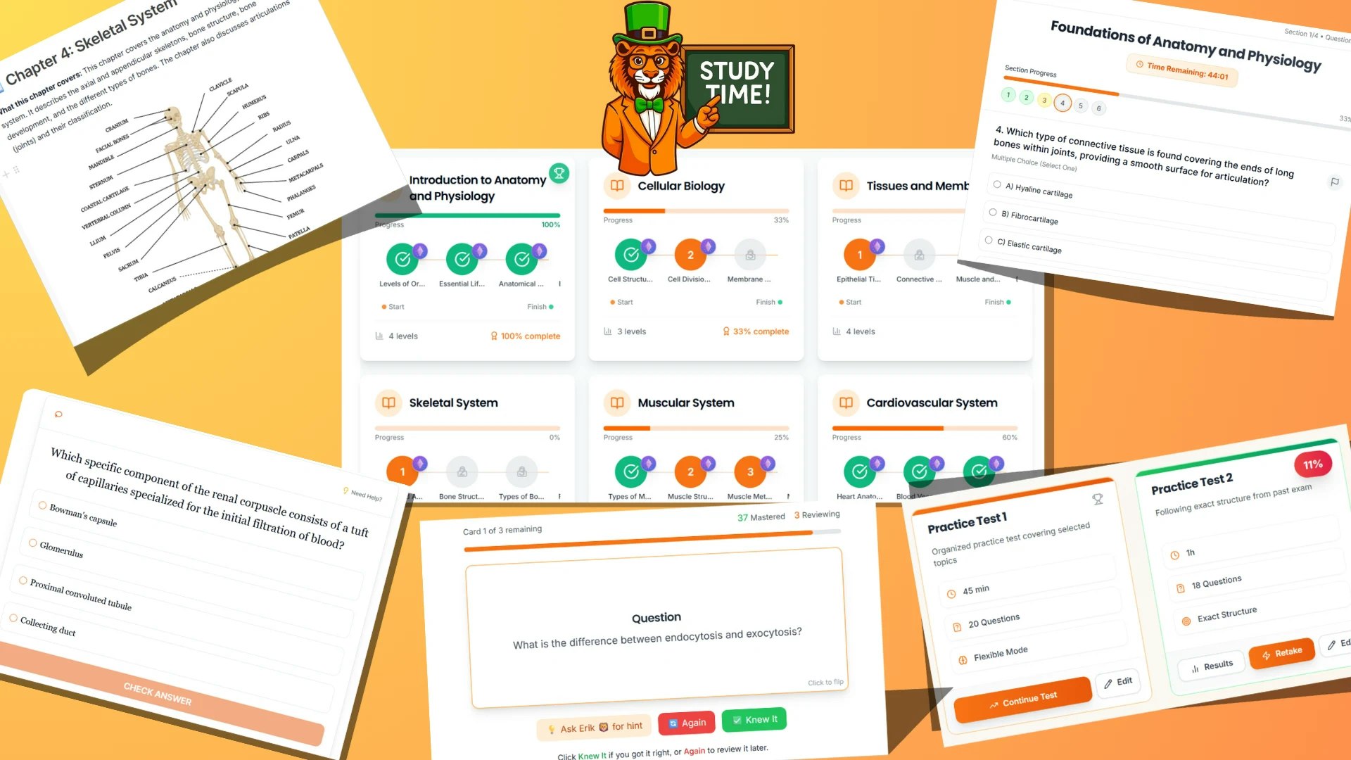 Evrika  - Screenshot 3 showing product features and functionality