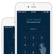 Developer HUB Novo Payment gallery image