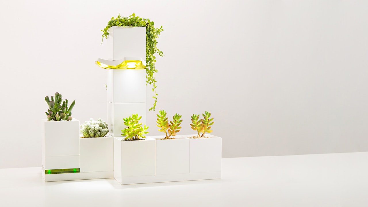 LeGrow gallery image