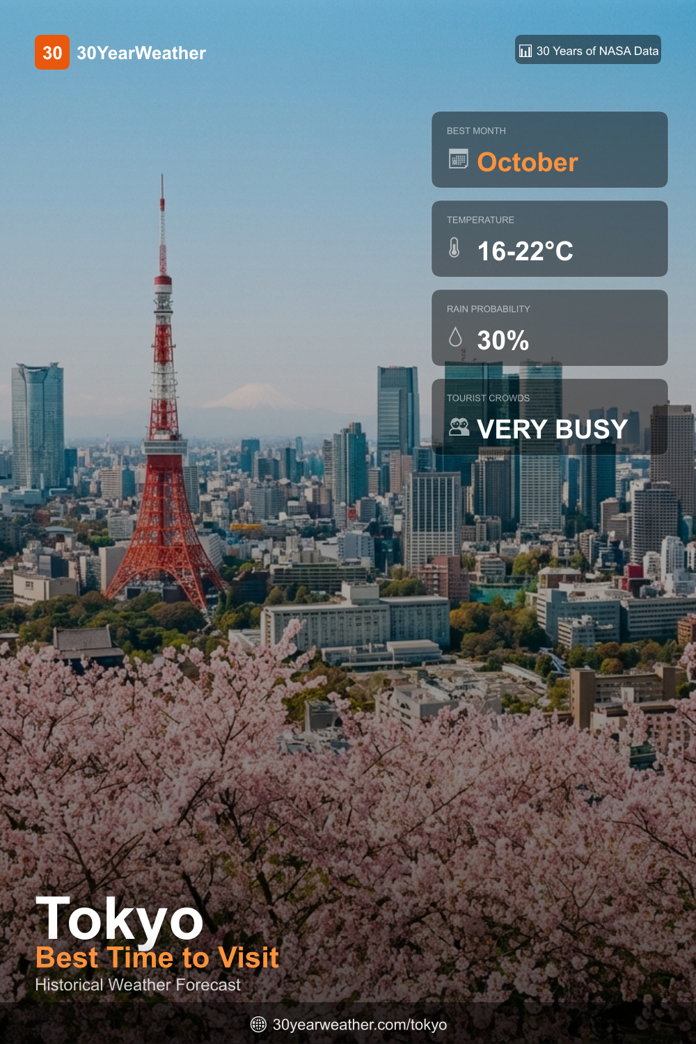 30YearWeather - Long Weather Forecast gallery image