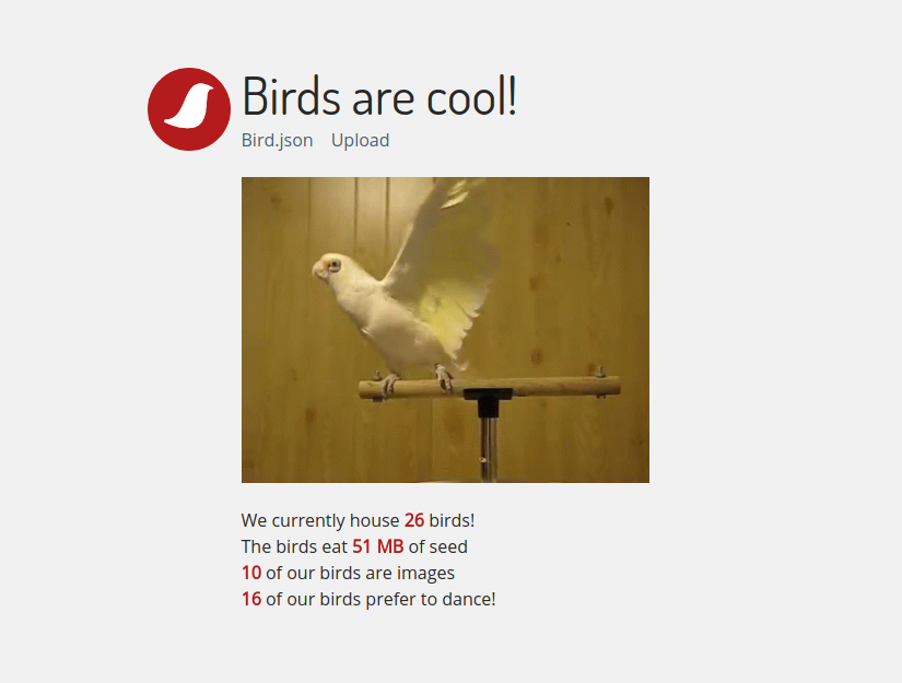 Birds are cool! gallery image