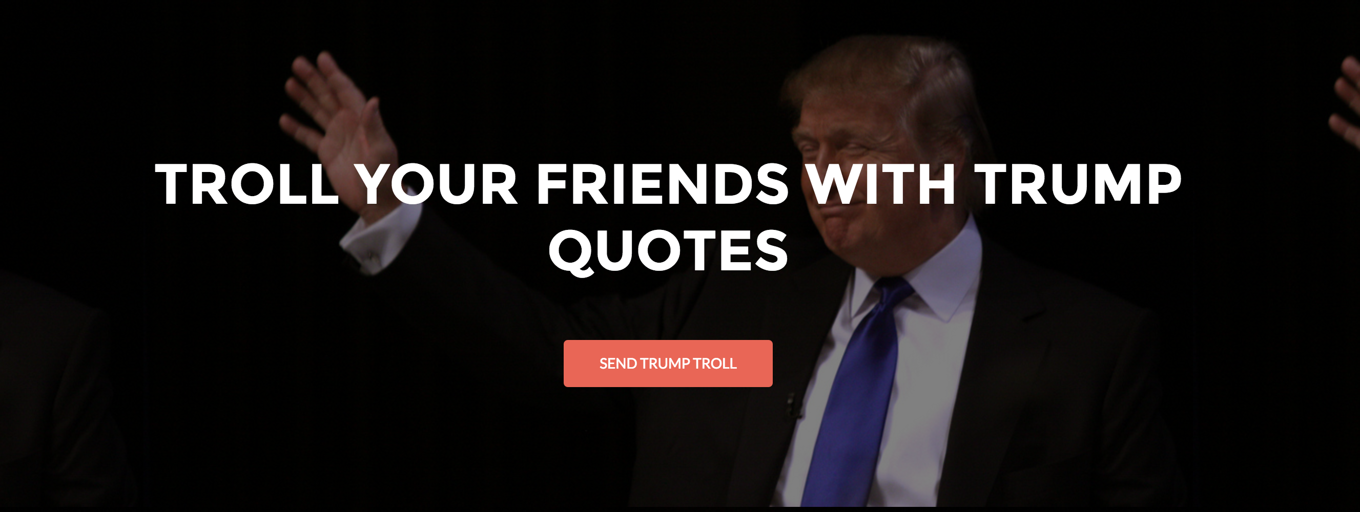 Trump Troll gallery image