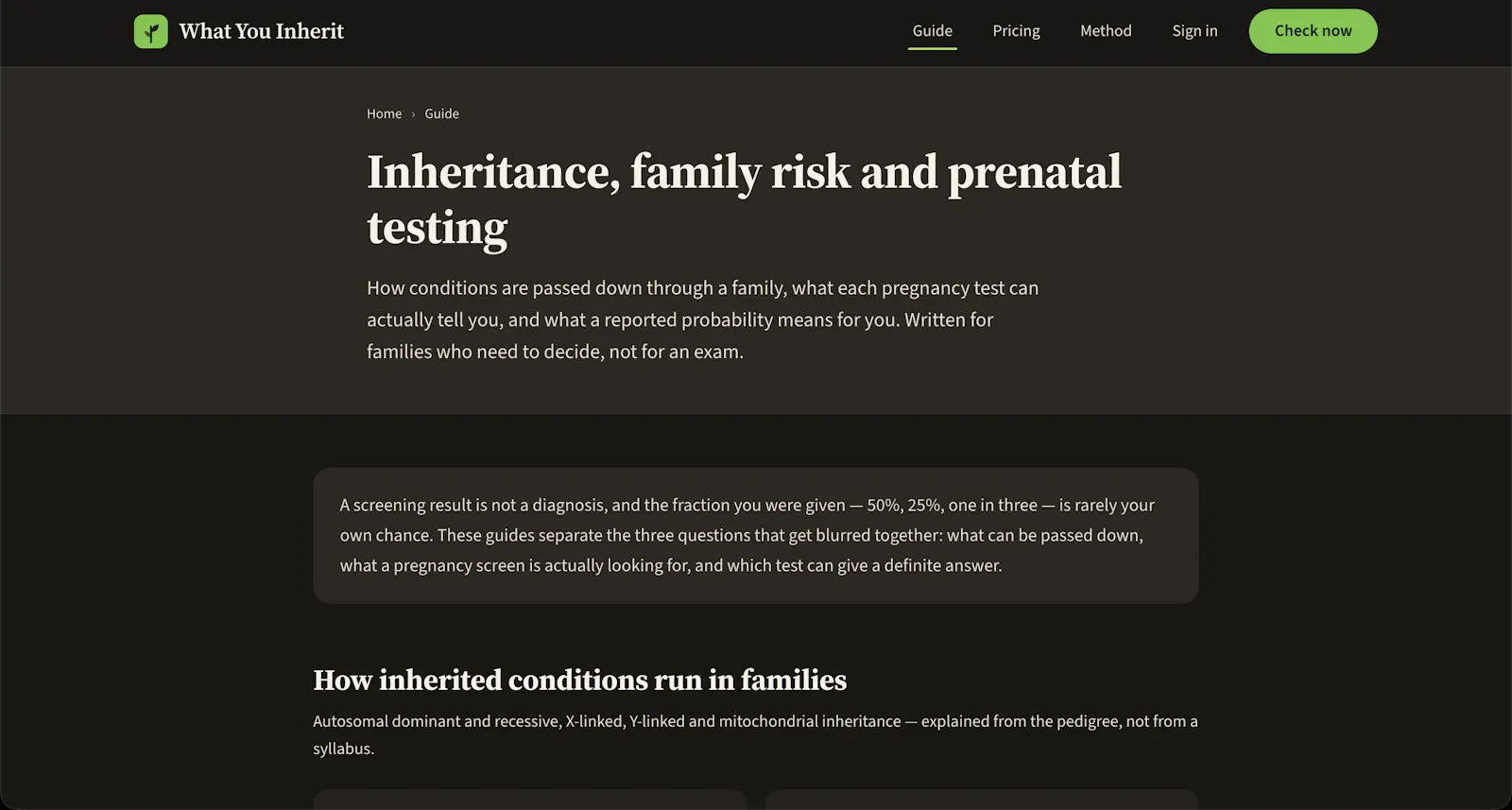 What You Inherit screenshot 2