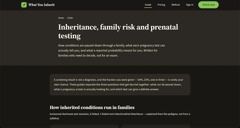 What You Inherit screenshot 2