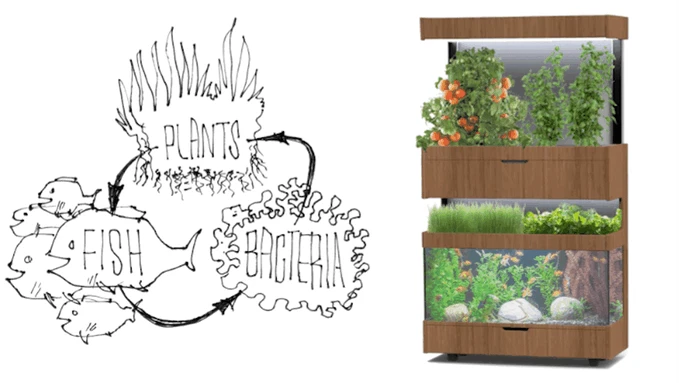 Grove Ecosystem Image