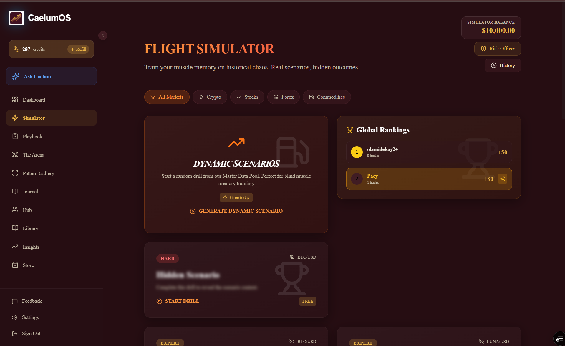 CaelumOS gallery image