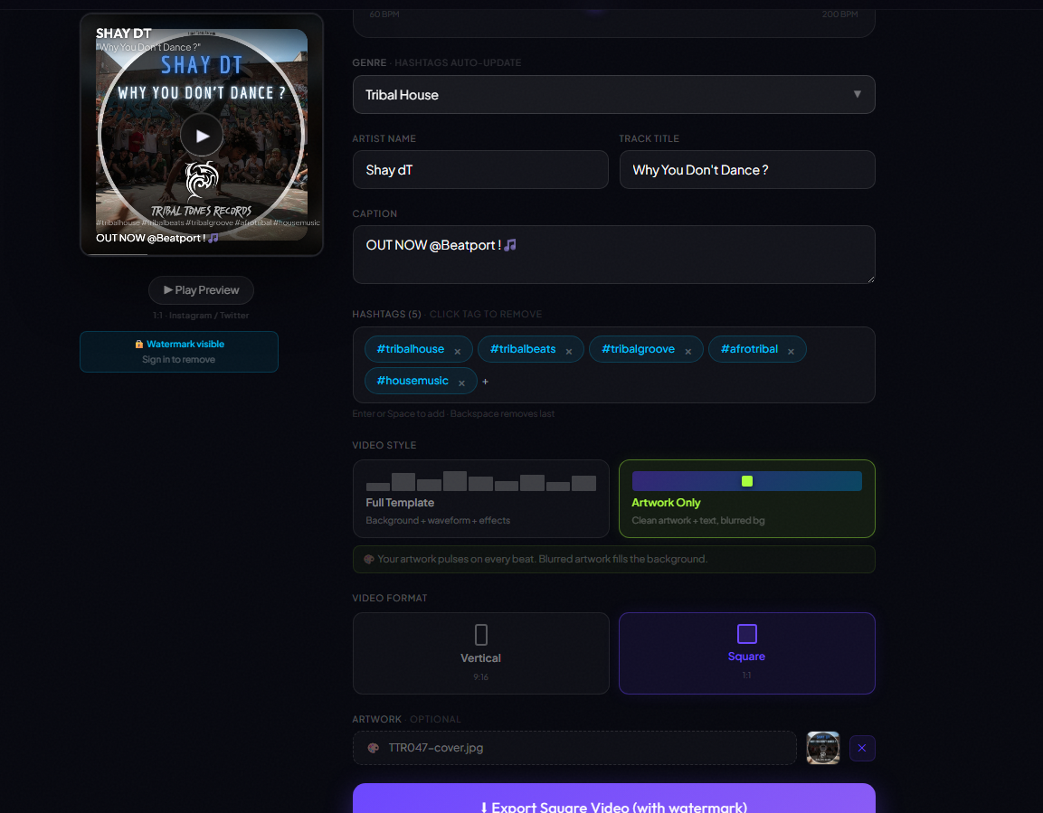 BeatVids gallery image