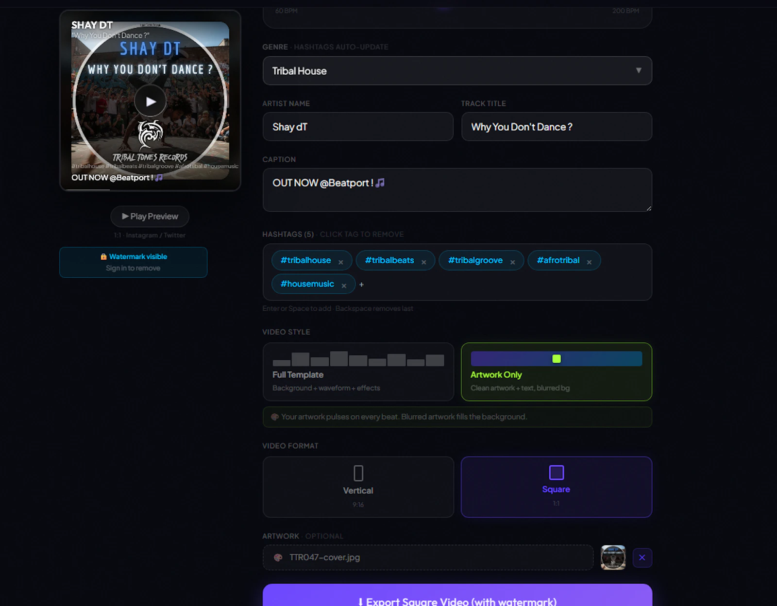 BeatVids screenshot 2