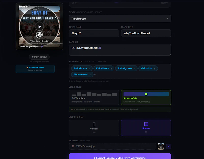 BeatVids screenshot 2