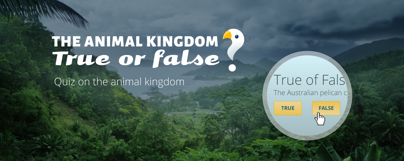 Animals True or False gallery image