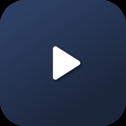 DS Player logo