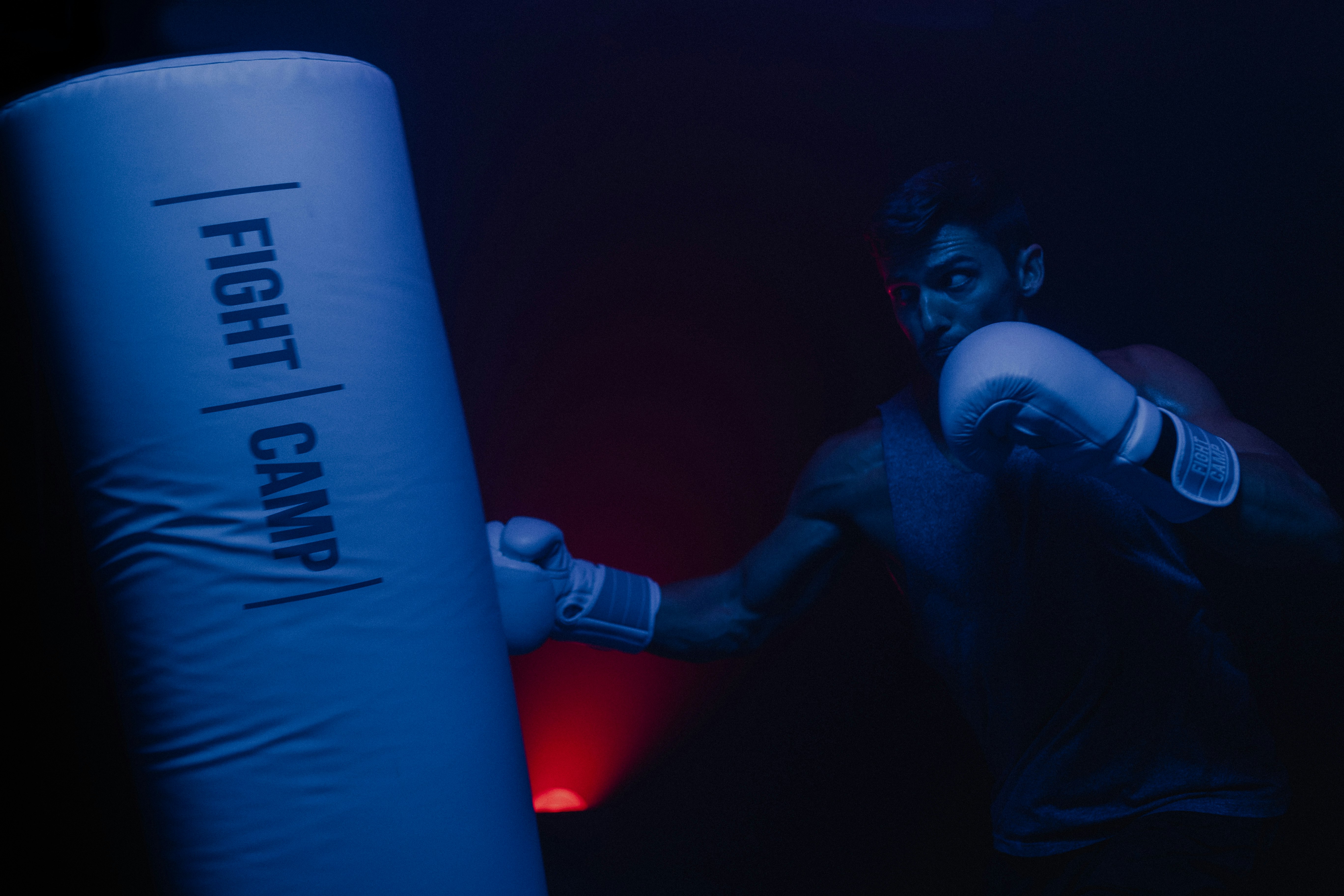 FightCamp gallery image
