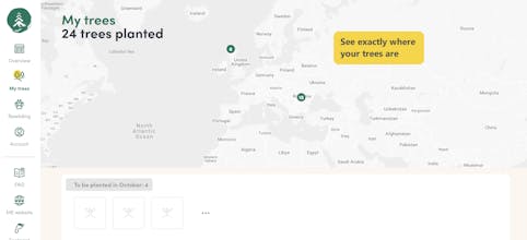 Mossy Earth gallery image