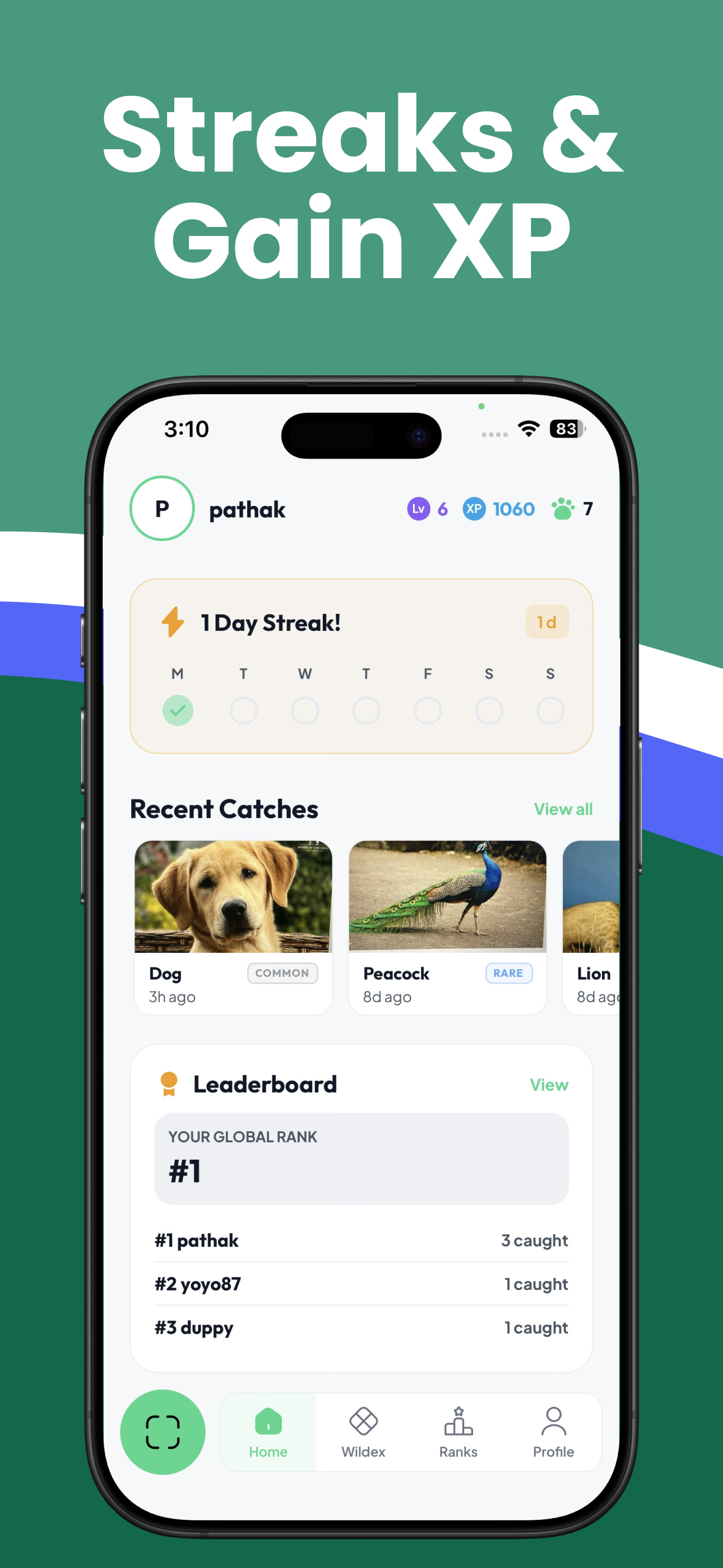 Wildgram gallery image