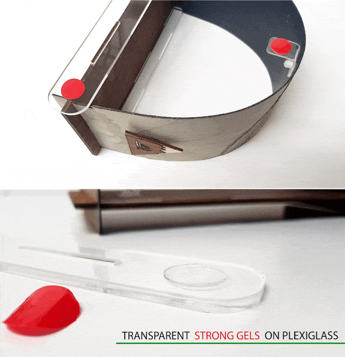GlamBird | Window Bird Feeder - Feed and observe wild birds 🐦directly from your window. media 4